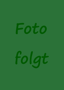 folgt